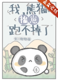 熊猫崽小说